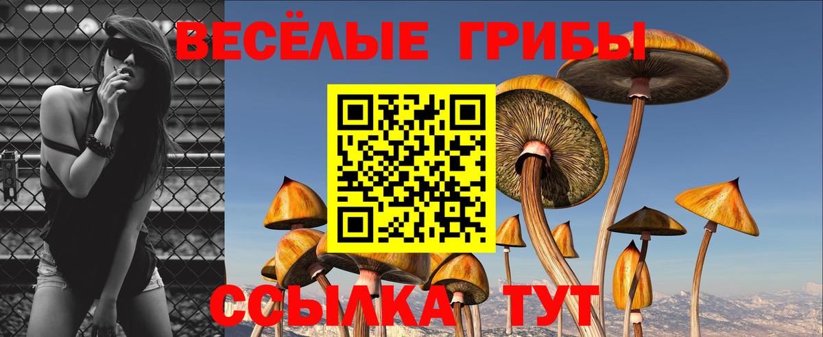 Галлюциногенные грибы мухоморы Россошь